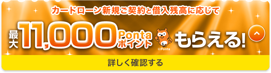 最大11,000 Pontaポイントもらえる！