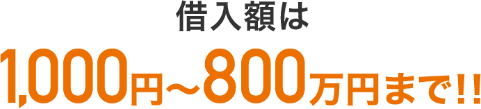 借入額は最大800万円まで！