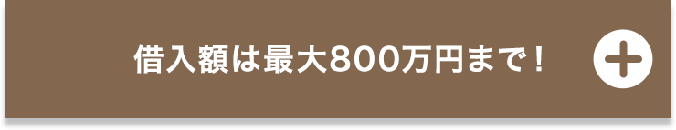 借入額は最大800万円まで！