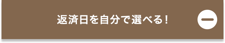 返済日を自分で選べる！