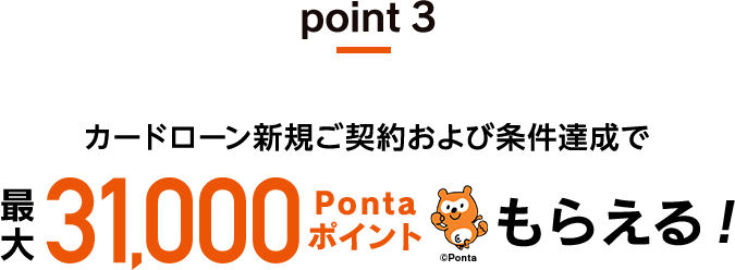point3 最大31,000Pontaポイントもらえる！