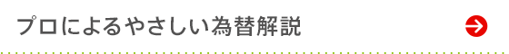 プロによるやさしい為替解説