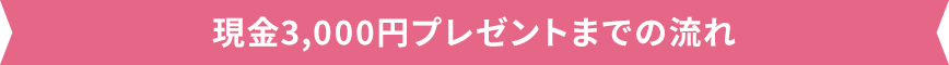 現金3,000円プレゼントまでの流れ