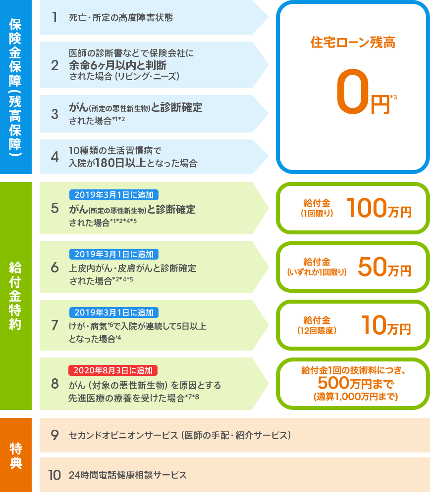 内 新 生物 上皮
