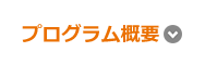 プログラム概要