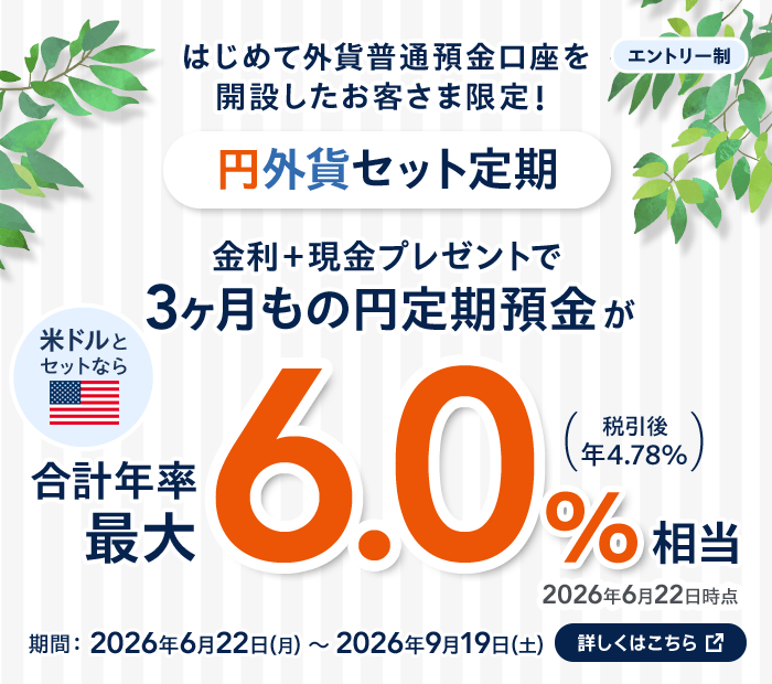 はじめて外貨普通預金口座を開設したお客さま限定 円外貨セット定期