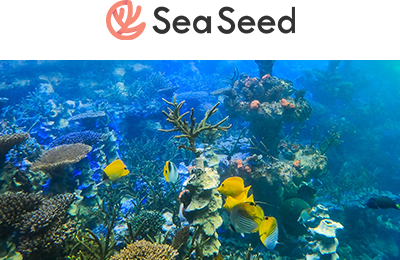 Sea Seed Inc.