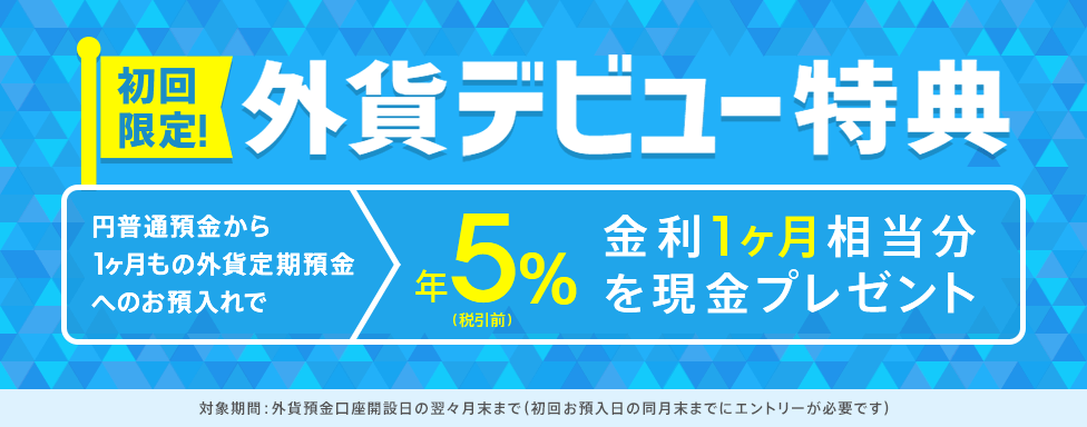 [初心者限定] 外貨デビュー特典