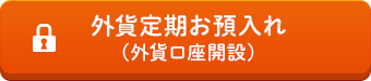 外貨定期お預入れ