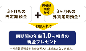 [3ヶ月もの円定期預金]＋[円浮遊預金から三か月もの外貨定期預金(*)]お預入れで同期間の年率％相当の現金プレゼント　（*）外貨普通預金からのお預入れは対象となりません。