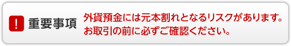 重要事項　外貨預金には元本割れとなるリスクがあります。お取引の前に必ずご確認ください。