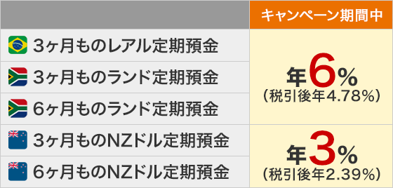 キャンペーン内容の表