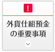 外貨仕組預金の重要事項