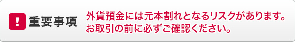 【重要事項】外貨預金には元本割れとなるリスクがあります。お取引の前に必ずご確認ください。