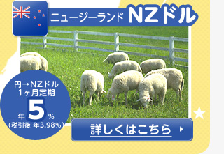 【ニュージーランド／NZドル】円→NZドル1カ月定期 年5%（税引後 年3.98%）の詳細情報へリンク