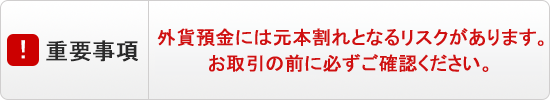 【重要事項】外貨預金には元本割れとなるリスクがあります。お取引の前に必ずご確認ください。