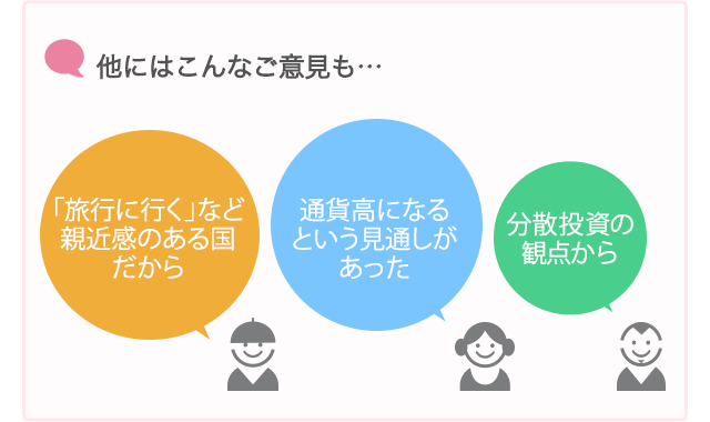 他にはこんなご意見も… 「旅行に行く」など親近感のある国だから・通貨高になるという見通しがあった・分散投資の観点から