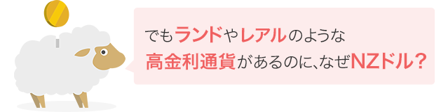 でもランドやレアルのような高金利通貨があるのに、なぜNZドル？