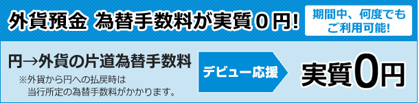 外貨預金 為替手数料が実質0円!