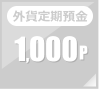 外貨定期預金 1,000p