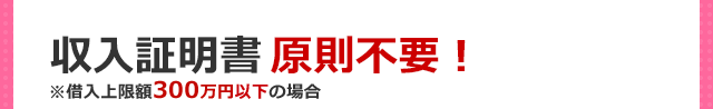 収入証明書原則不要！※借入上限額300万円以下の場合