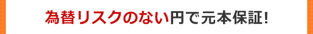 為替リスクの少ない円で元本保証!