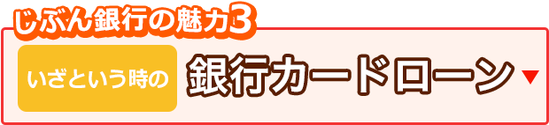 じぶん銀行の魅力3 いざという時の銀行カードローン