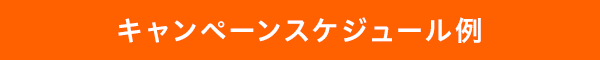 キャンペーンスケジュール例