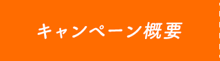 キャンペーン概要