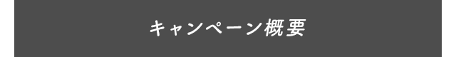 キャンペーン概要