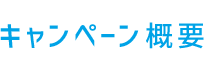 キャンペーン概要