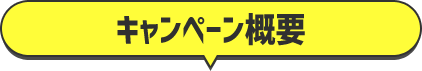 キャンペーン概要