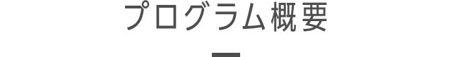 プログラム概要