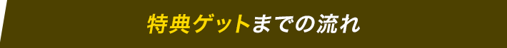 特典ゲットまでの流れ