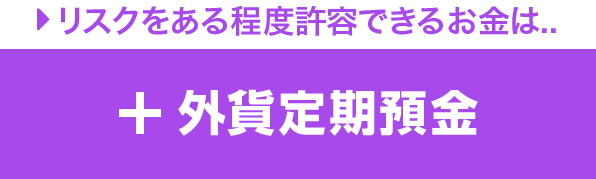 リスクをある程度許容できるお金は.. ＋外貨定期預金