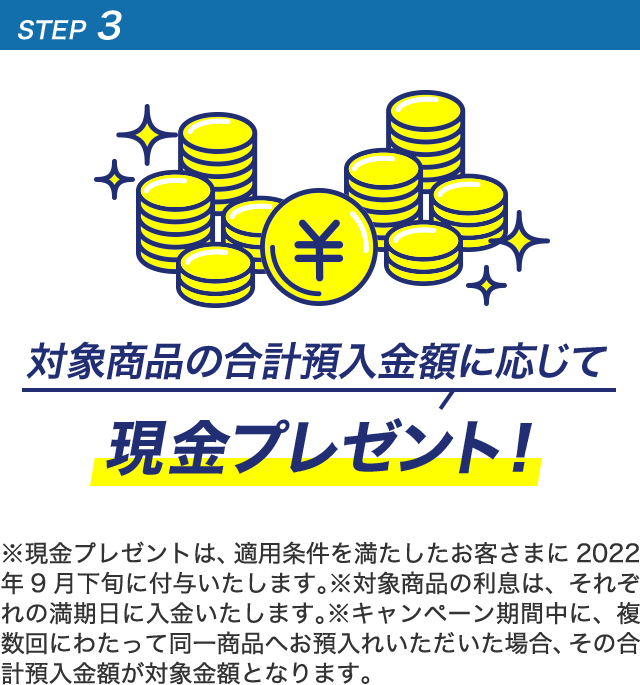 STEP3