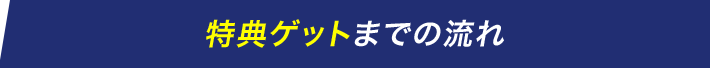 特典ゲットまでの流れ