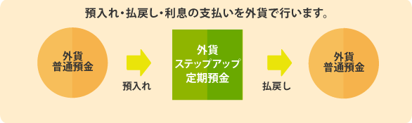 預入れ・払戻し・利息の支払いを外貨で行います。