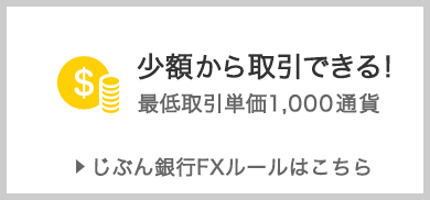 【じぶん銀行FXルール】少額から取引できる！ 最低取引単価1,000通貨